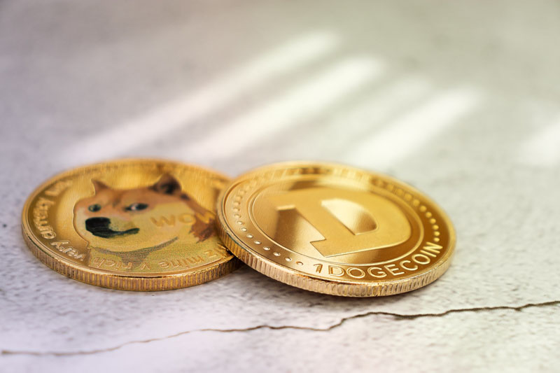 safest crypto wallet for dogecoin